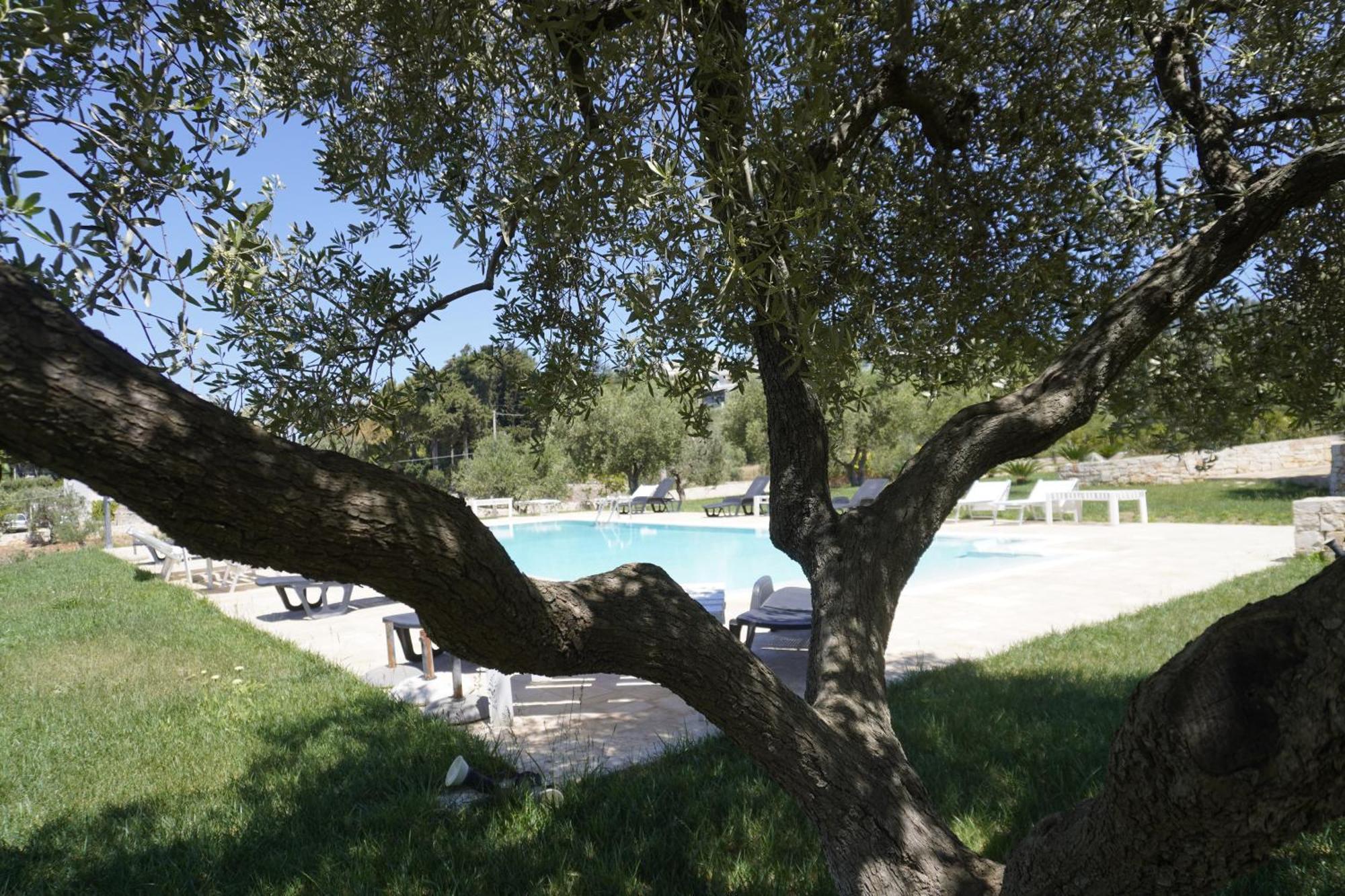 Trullo Amico Villa Cisternino Eksteriør bilde