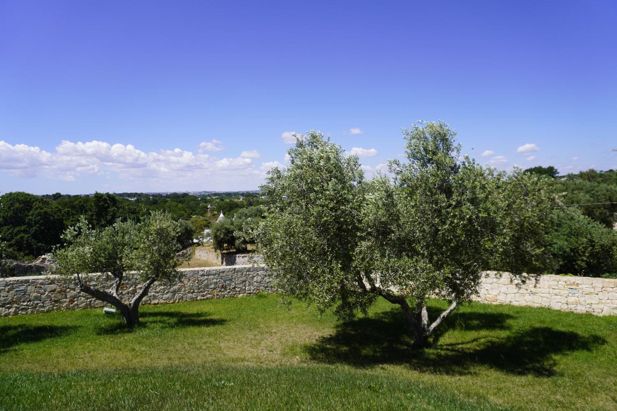 Trullo Amico Villa Cisternino Eksteriør bilde